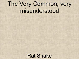 The Very Common, Very Misunderstood