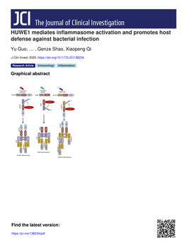 HUWE1 Mediates Inflammasome Activation and Promotes Host Defense Against Bacterial Infection