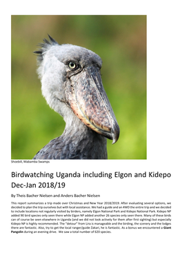 Birdwatching Uganda Including Elgon and Kidepo Dec-Jan 2018/19 by Theis Bacher Nielsen and Anders Bacher Nielsen