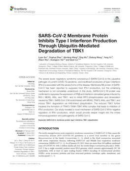 SARS-Cov-2 Membrane Protein Inhibits Type I Interferon Production Through Ubiquitin-Mediated Degradation of TBK1