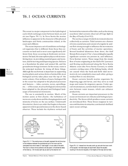 T6.1 Ocean Currents