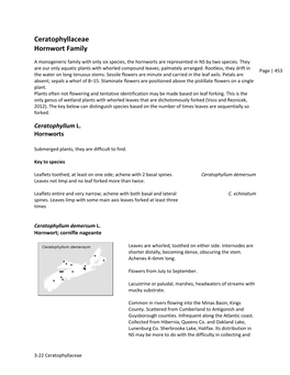 Ceratophyllaceae Hornwort Family