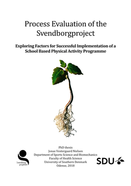 Process Evaluation of the Svendborgproject