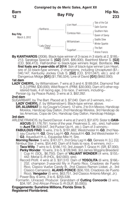 Bay Filly Barn 12 Hip No