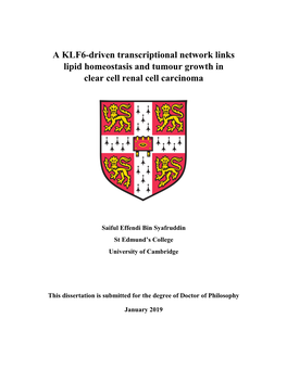 A KLF6-Driven Transcriptional Network Links Lipid Homeostasis and Tumour Growth in Clear Cell Renal Cell Carcinoma