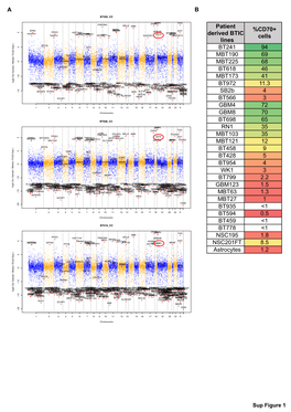 Patient Derived BTIC Lines %CD70+ Cells BT241 94 MBT190 69