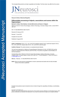 Differentiable Processing of Objects, Associations and Scenes Within the Hippocampus Marshall A