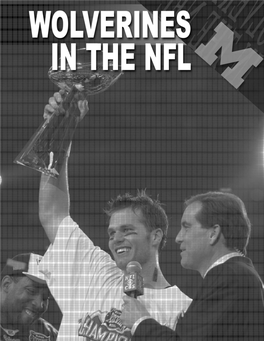 Fbl-Guide-16-Nfl.Pdf