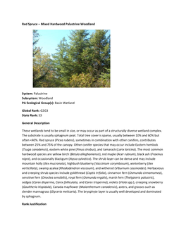 Red Spruce – Mixed Hardwood Palustrine Woodland System