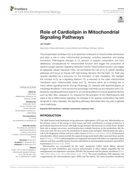 Role of Cardiolipin in Mitochondrial Signaling Pathways
