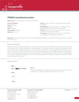 TRIM33 Recombinant Protein