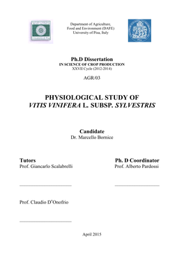 Physiological Study of Vitis Vinifera L. Subsp. Sylvestris