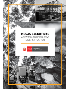 Mesas Ejecutivas a New Tool for Productive Diversification
