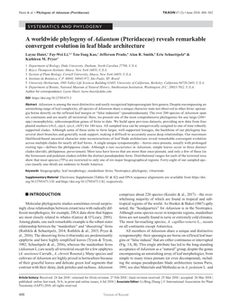 A Worldwide Phylogeny of Adiantum (Pteridaceae)