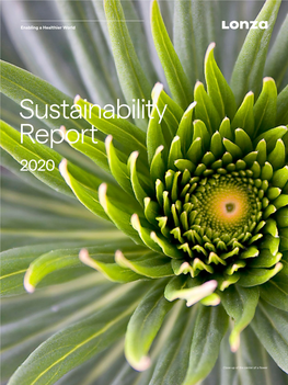 Sustainability Report 2020