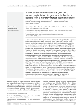 Phaeobacterium Nitratireducens Gen. Nov., Sp. Nov., a Phototrophic