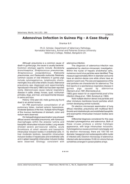 Adenovirus Infection in Guinea Pig - a Case Study