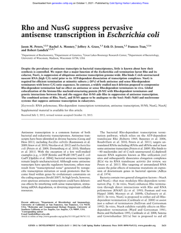 Rho and Nusg Suppress Pervasive Antisense Transcription in Escherichia Coli