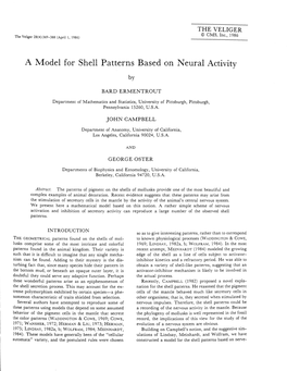 A Model for Shell Patterns Based on Neural Activity By