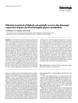 Phlorizin Treatment of Diabetic Rats Partially Reverses the Abnormal Expression of Genes Involved in Hepatic Glucose Metabolism