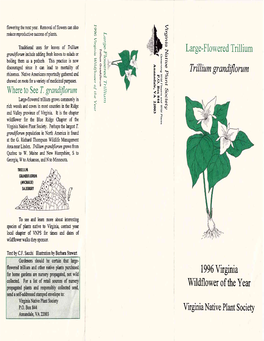 Large-Flowered Trillium (1996)