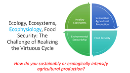 Ecology, Ecosystems, Production Ecophysiology, Food