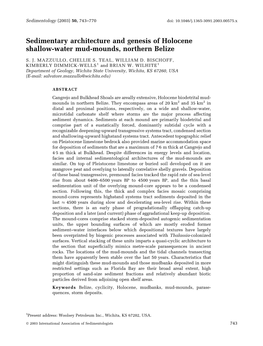 Sedimentary Architecture and Genesis of Holocene Shallowwater