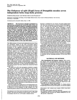 Independent Helix-Loop-Helix Proteins