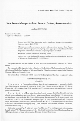 New Acerentulus Species from France (Protura, Acerentomidae)