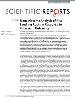 Transcriptome Analysis of Rice Seedling Roots in Response To