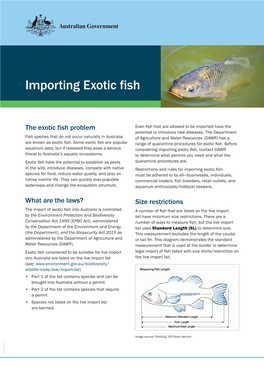 Importing Exotic Fish