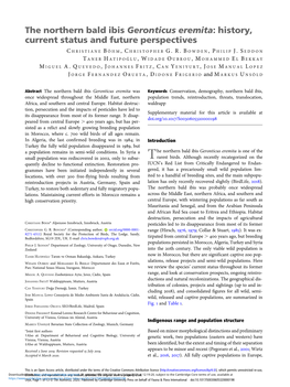 The Northern Bald Ibis Geronticus Eremita: History, Current Status and Future Perspectives