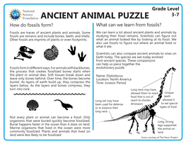 Earth Science Worksheets