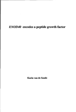 Enod40encodes a Peptide Growth Factor