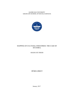 Mapping of Cultural Industries: the Case of Istanbul Büşra Şişeci