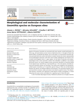 Morphological and Molecular Characterisation of Geosmithia Species on European Elms