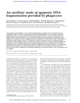 An Auxiliary Mode of Apoptotic DNA Fragmentation Provided by Phagocytes