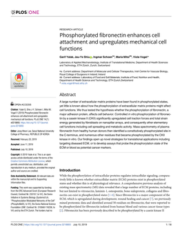 Phosphorylated Fibronectin Enhances Cell Attachment and Upregulates Mechanical Cell Functions