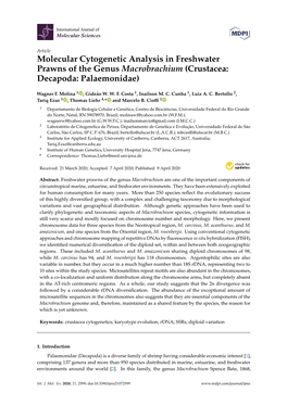 Molecular Cytogenetic Analysis in Freshwater Prawns of the Genus Macrobrachium (Crustacea: Decapoda: Palaemonidae)