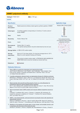 ARMET Polyclonal Antibody