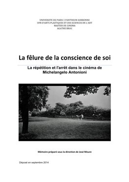 La Fêlure De La Conscience De Soi La Répétition Et L'arrêt Dans Le Cinéma De Michelangelo Antonioni