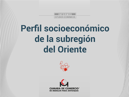 Perfil Socioeconómico De La Subregión Del Oriente