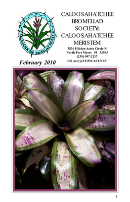 Caloosahatchee Bromeliad Society Officers