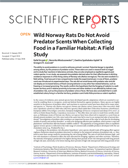 Wild Norway Rats Do Not Avoid Predator Scents When