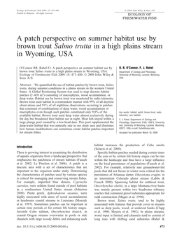A Patch Perspective on Summer Habitat Use by Brown Trout Salmo Trutta in a High Plains Stream in Wyoming, USA