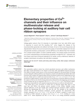 Elementary Properties of Ca2+ Channels and Their Influence On