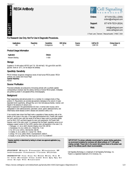 43411 REG4 Antibody