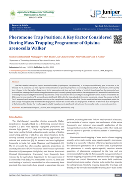 Pheromone Trap Position: a Key Factor Considered During Mass Trapping Programme of Opisina Arenosella Walker