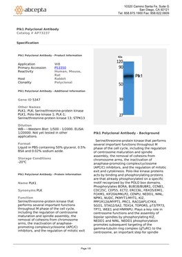 Plk1 Polyclonal Antibody Catalog # AP73237