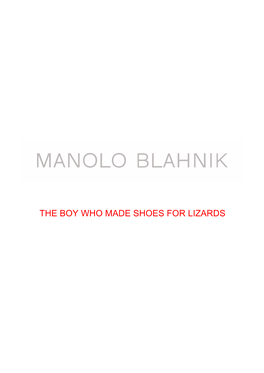 The Boy Who Made Shoes for Lizards